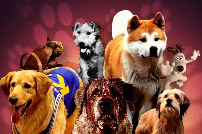 “Top Famous Movies Featuring Lovable Canine Companions”