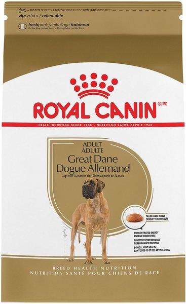 “Top Picks: Best Food Choices for Your Great Dane’s Health!”