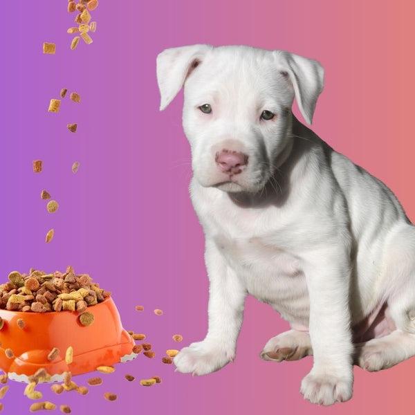 “Optimal Nutrition for Your Growing Pitbull Puppy’s Health”